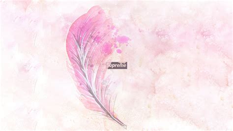 🔥 [30 ] Feather Pink Wallpapers Wallpapersafari