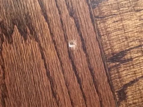 How To Fix Dents In Wood Floor Johnny Counterfit