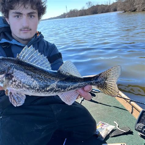 ᐅ Cary Lake at Rotary Park fishing reports🎣• Cary fishing