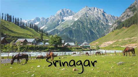 Srinagar Road Trip Leh Dal Lake Jammu Kashmir YouTube