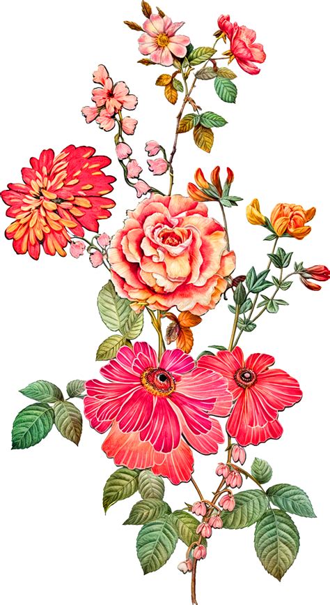 Pin On Border Design In 2024 Flower Art Images Flower Art Digital