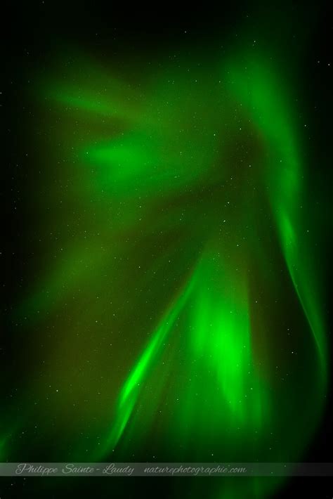 Aurore boréale sur les Lofoten – NATUREPHOTOGRAPHIE