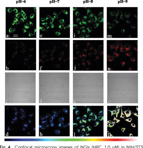 Figure From A Novel Nanogel Based Fluorescent Probe For Ratiometric