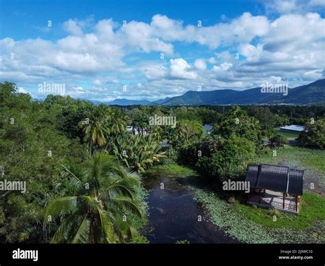 Aerial view of Cairns botanical gardens and mountains in Queensland ...