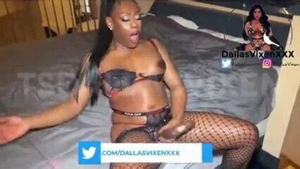 TS Roxie Strokes Her Shemeat Shemale Black Amateur Porn XHamster