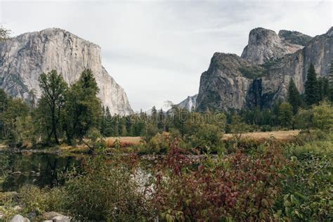 Scenic Panoramic View Of Famous Yosemite Valley With El Capitan Rock