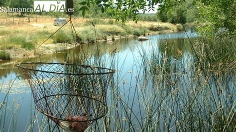 Arranca La Temporada De Pesca De Cangrejos En Castilla Y Le N