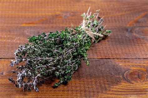 Close up of fresh thyme - Creative Commons Bilder