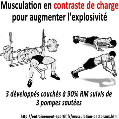 Comment Prendre Rapidement Des Pectoraux Muscu Maison