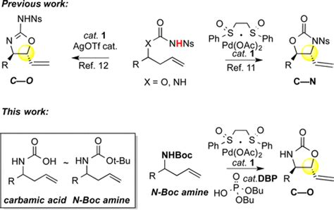 N Boc Amines to Oxazolidinones via Pd II Bis sulfoxide Brønsted Acid