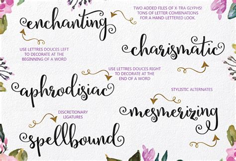 The Swirly Font Bundle :: Behance