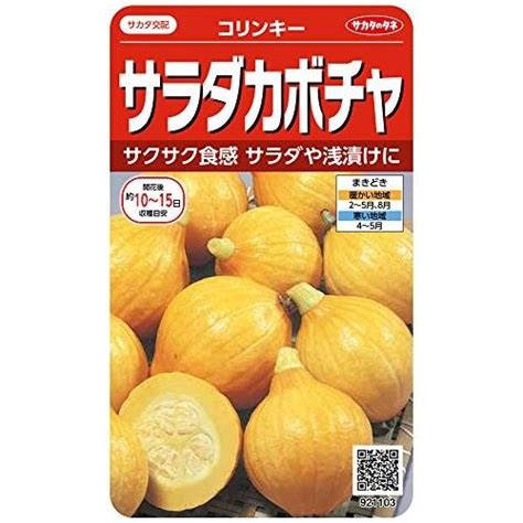 サカタのタネ 実咲野菜1103 サラダカボチャ コリンキー 00921103 16050661168クロスタウンストア 通販