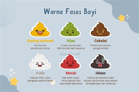 Kenali 9 Arti Warna Fases Bayi Dari Normal Hingga Perlu Diwaspadai