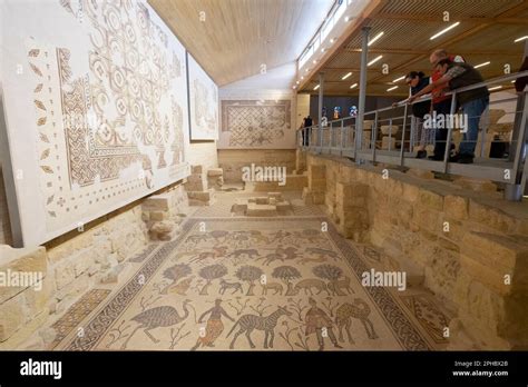 Mount Nebo Jordan Middle East Ancient Byzantine Preserved Mosaic