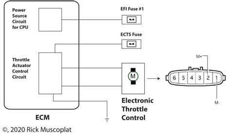 Toyota Throttle Position Sensor Wiring Diagram