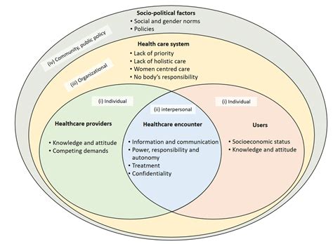 Theoretical Framework For Analysis Of Mens Experiences In Sexual And Download Scientific