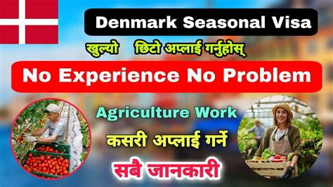 Denmark Seasonal Work Visa How To Apply Denmark Seasonal Work Visa