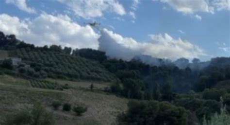 Campofilone FM Incendio boschivo in località Tre Camini 02 07 21