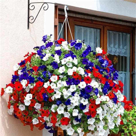 45 Best Outdoor Hanging Planter Ideas and Designs for 2021