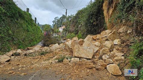 Mau Tempo Provoca Derrocada E Quedas De Rvores No Marco De Canaveses