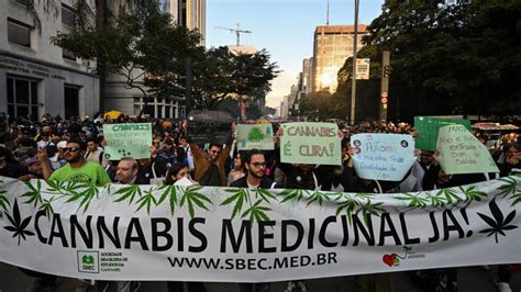 Descriminalização Da Maconha Tendência Na Europa é De Tolerância Com Usuário O Mundo Agora