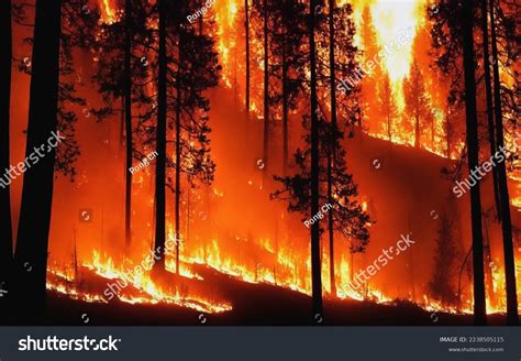 Forest Fire Wallpaper