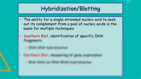 SOLUTION: Nucleic acid hybridization (Molecular hybridization ...