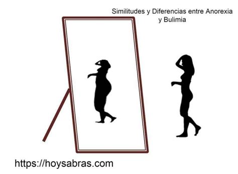 Cu Les Son Las Similitudes Y Diferencias Entre Anorexia Y Bulimia