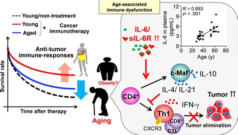 Immunesuppressive Effects Of Interleukin6 On Tcellmediated Anti