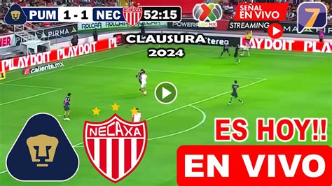 Pumas Vs Necaxa En Vivo Hoy Jornada 4 Clausura 2024 Pumas Vs Necaxa