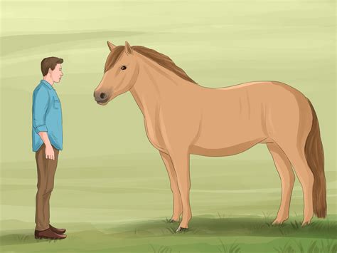 How To Join Up With A Horse With Pictures Wikihow