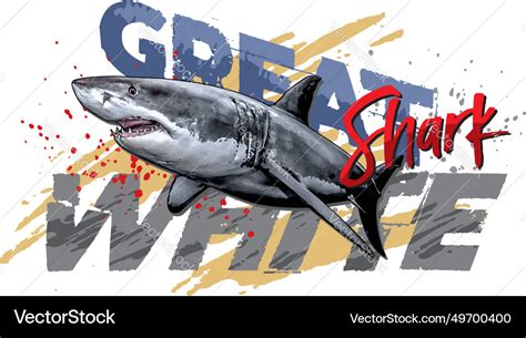 Great white shark Royalty Free Vector Image - VectorStock