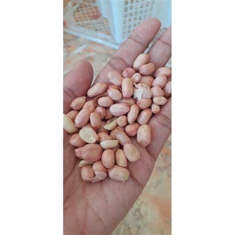 Jual 1kg KACANG TANAH LOKAL TUBAN DANDER Shopee Indonesia