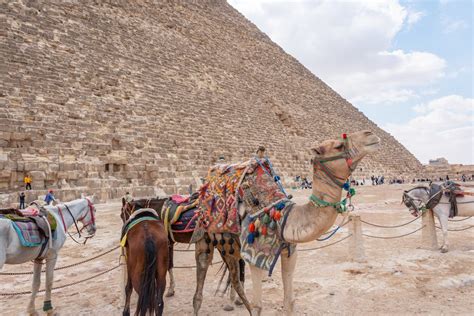 Was Kostet Eine Hochzeit In Ägypten hochzeitbereich de