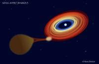 Stellar Cannibalism Transforms Star Into Brow Eurekalert