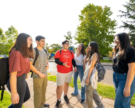 Utalca Cuenta Con Cinco Nuevos Grupos Intermedios Universidad De Talca