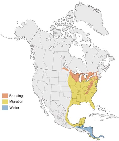Gulf Coast Joint Venture - Golden-winged Warbler Species Page