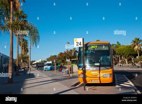 Arrêts de bus de l aéroport Reina Sofia au sud de l île de Ténérife les