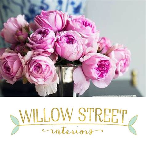 email updates willow street interiors
