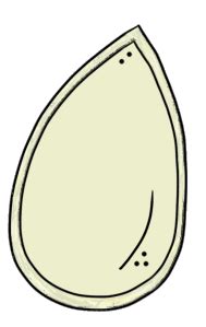 Pumpkin Seeds Clipart Clipart Best Hot Sex Picture