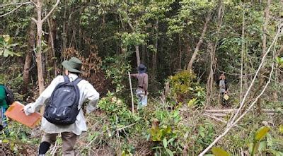 Inventarisasi Hutan Pengertian Peranan Dan Ruang Lingkup Zega Hutan