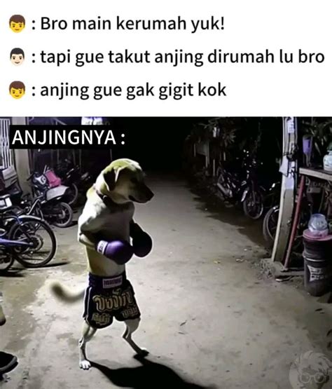 Pin Oleh Black Dino Di Meme Di Gambar Lucu Olahraga Film Lucu