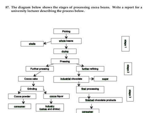 The Diagram Below Shows The Stages Of Processing Cocoa Beans Write