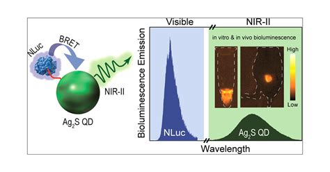 Self Illuminating Nir Ii Bioluminescence Imaging Probe Based On Silver