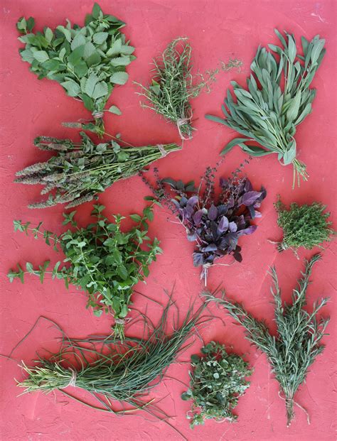 9 Herbs To Start From Seed Indoors In January • Gardenary