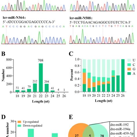 Overview Of The Small Rna Seq Data A Sanger Sequencing Validation Of