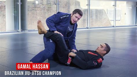 An Introduction To Brazilian Jiu Jitsu Bjj Evolve University