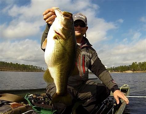 Big Bass Caught On Lizards Spring Bass Fishing During The Spawn Youtube