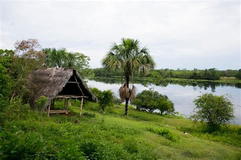 Vistas Desde Las Calles Y Casas De Un Pueblo En La Regi N Amaz Nica De