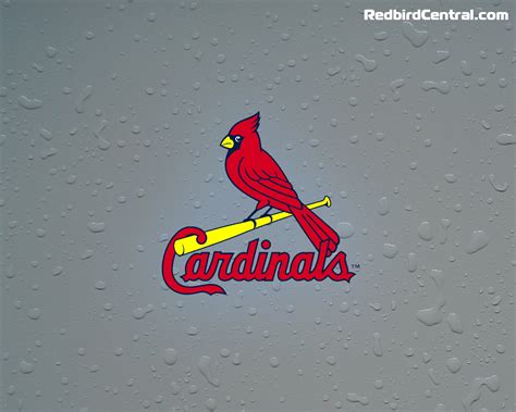 🔥 Free Download St Louis Cardinals Wallpaper Background By